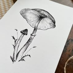 a black and white drawing of a mushroom on a piece of paper next to twine of twine