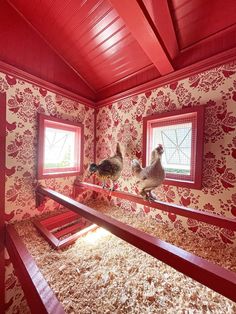 two chickens standing on top of a red and white wallpapered room with windows