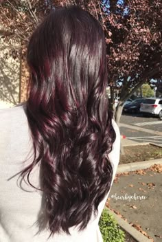 Velvet Red Hair Color, Raspberry Brown Hair Color, Velvet Hair Color, Dark Velvet Hair, Blackberry Red Hair, Dark Ruby Hair, Cherry Coke Highlights On Dark Hair, Deep Raspberry Hair Color, Dark Raspberry Hair Color