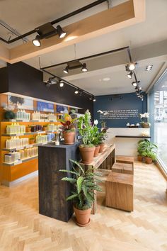 the inside of a store with potted plants