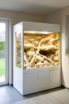 an aquarium with rocks and plants inside of it in a room next to a window