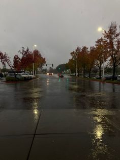 a wet street with cars parked on it