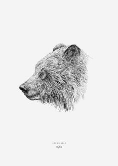 a black and white drawing of a bear's head