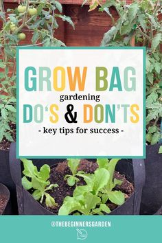 a sign that says grow bag gardening dos and don'ts key tips for success