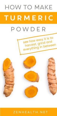 how to make turmetic powder by zehnealth net book review and giveaway