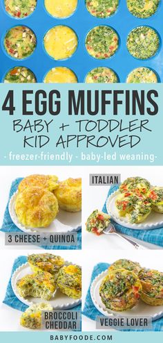 four egg muffins on plates with text overlay that reads 4 egg muffins baby and toddler kid approved