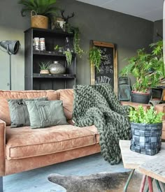 a living room filled with lots of furniture and plants on top of it's shelves