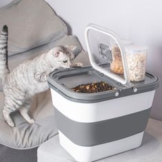 a cat standing on top of a couch next to a food dispenser