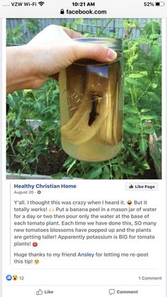 someone is holding a jar full of liquid with a bug in it and the caption reads, healthy christian home