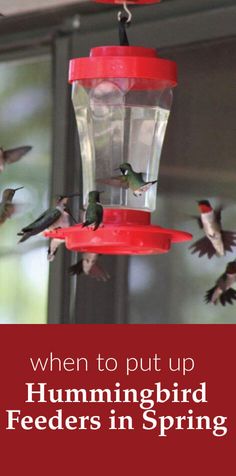 hummingbirds are flying around a bird feeder with the words, when to put up hummingbird feeders in spring