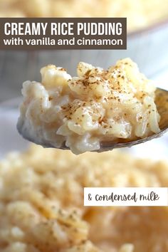 creamy rice pudding with vanilla and cinnamon on a spoon