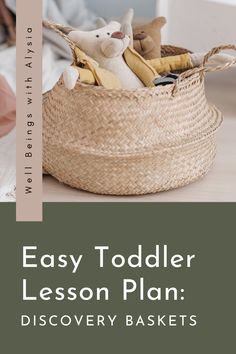 a basket with stuffed animals in it and the title easy toddler lesson plan discovery baskets