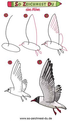 how to draw a seagull in 3 easy steps step by step instructions for beginners