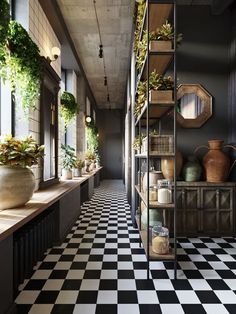 a black and white checkered floor with potted plants on the shelves next to it