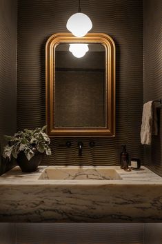 a bathroom sink with a mirror above it and a plant on the counter in front of it