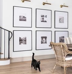 a black cat standing in front of a dining room table and chairs with pictures on the wall