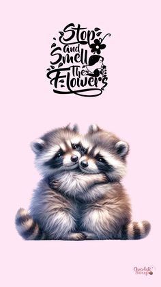 two small raccoons sitting next to each other on top of a pink background