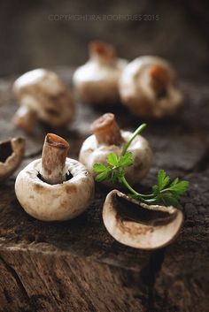 mushrooms are growing out of the top of a tree stump, with one plant sprouting from it