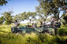 group of people riding in the back of an open vehicle with safari vehicles on it