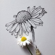 a drawing of a flower with a pencil in it's left hand, next to a marker