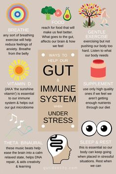 Melatonin, and its effect on our gut and brain health, is an emerging, and highly important, field of research. Enteric Nervous System, Too Much Estrogen, Vitamin D Supplement, Gut Microbiota, Healthy Diet Tips, Daily Health Tips, Gut Microbiome, Healthy Routine, Fitness Advice