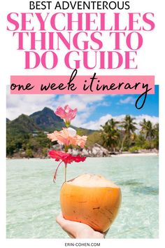 a person holding up a coconut in the ocean with text overlay that reads best adventures seychelles things to do guide one week