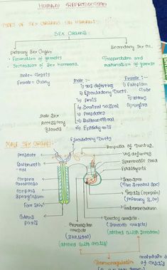 a paper with some diagrams on it