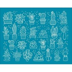 a blue background with white drawings of cactuses and succulents on it