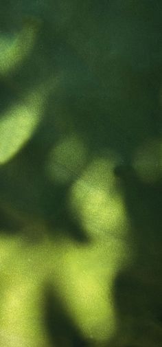 a blurry photo of green grass with the shadow of leaves on it's surface