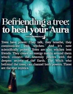 Motivation Witchcraft, Tree Meditation, Witch Tree, Earth Witch, Dream Magic, Spirit Magic, Metaphysical Art