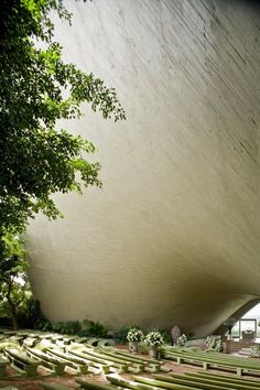 an empty auditorium with benches and trees in the foreground