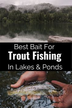 a person holding a fish in the water with text overlay that reads best bait for trout fishing in lakes and pondes