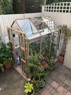 a small greenhouse with lots of plants in the corner and potted plants on the ground