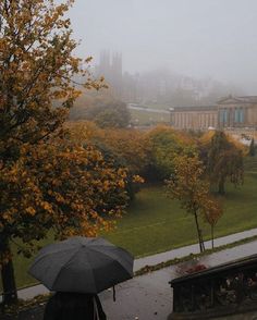 a person with an umbrella is standing in the rain by some trees and buildings on a foggy day