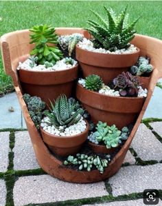 a facebook post with several potted plants on it