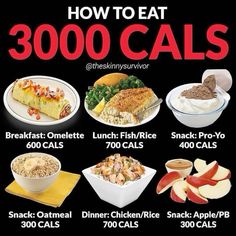 3000 Calorie Meal Plan, Weight Gain Meal Plan