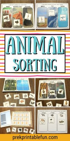 an animal sorting game with pictures and words