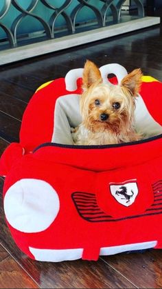 a small dog sitting in a red car shaped bed