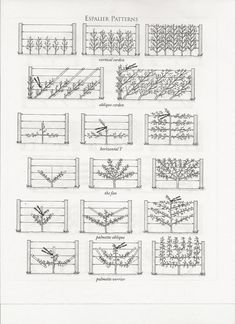 the diagram shows different types of plants and fence posts, with names on each side