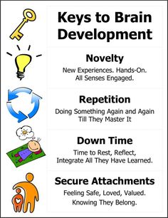 the key to brain development poster