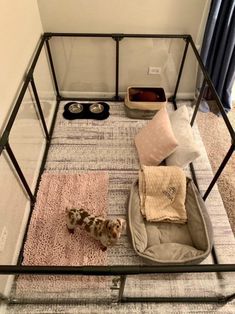 a small dog laying in its bed on the floor next to some pillows and blankets