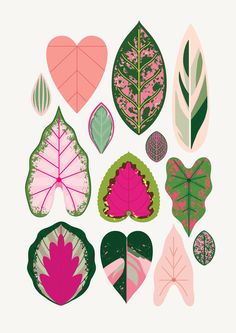 various leaf shapes and colors are shown in this graphic art printable illustration by person