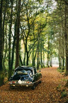 an old car parked in the middle of a wooded area with leaves on the ground