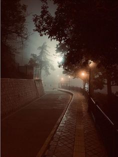 a foggy street at night with lights on and trees lining the sidewalk in the foreground