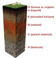 an image of soil layers and their names