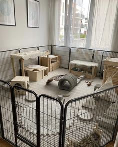 a room filled with lots of caged animals in front of a window and some pictures on the wall