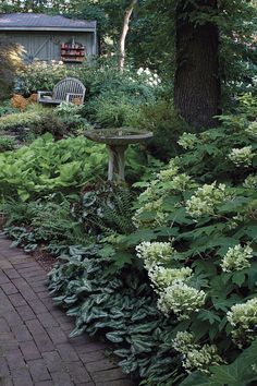 a garden with lots of green plants next to a bench and tree in the background