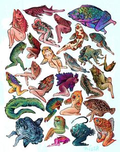 an image of many different types of fish and sea creatures on a white paper background