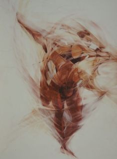 an abstract photograph of a woman's torso