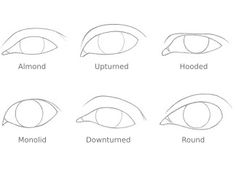 how to draw an eye step by step